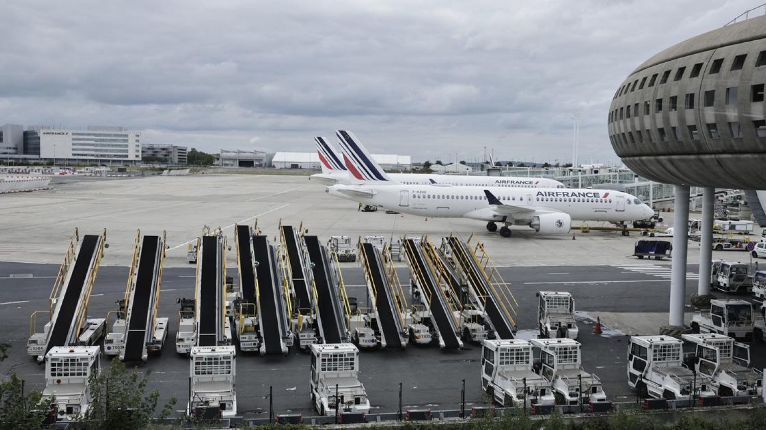 Pistes fermées, drone, battue… La disparition d’un chien sème la pagaille à l’aéroport Charles-de-Gaulle