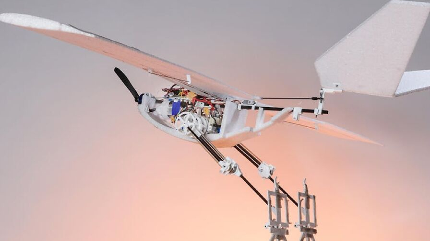 Ce drone suisse peut décoller sans élan, comme un oiseau 