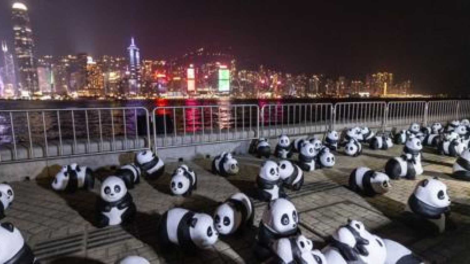 Un spectacle de drones sous le thème du panda a été présenté à Hong Kong