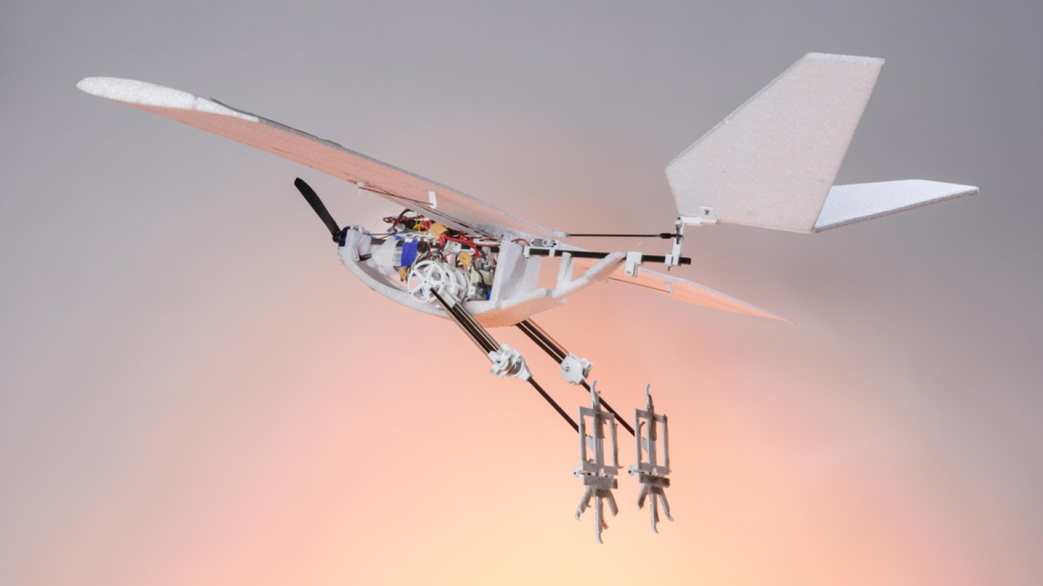 Ce drone RAVEN marche, saute et vole comme un oiseau pour conquérir n'importe quel terrain