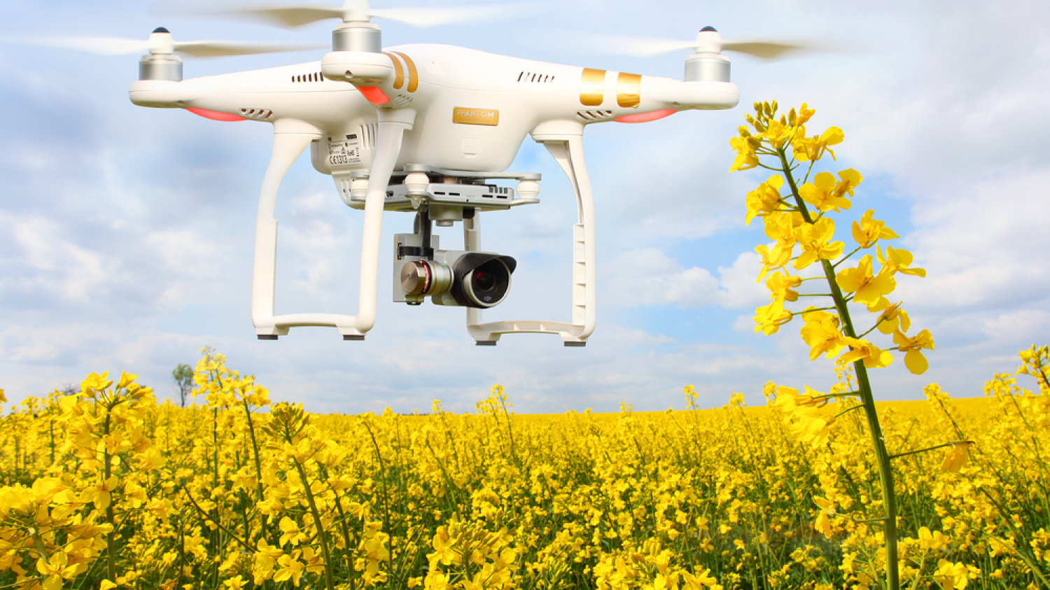 Unusual Machines : le meilleur petit drone à investir 