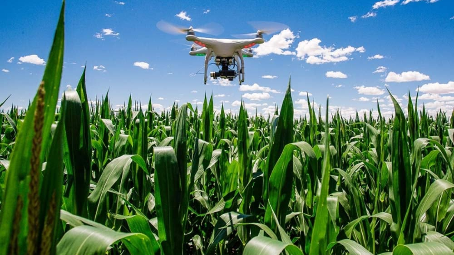 Les drones plus efficaces que les tracteurs ? - Le Bulletin des agriculteurs