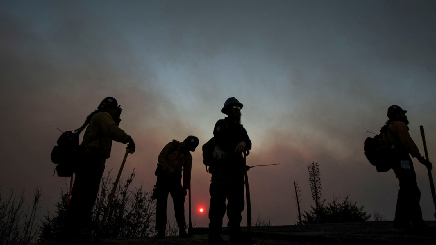 Incendies près de Los Angeles | Un avion québécois cloué au sol après avoir heurté un drone