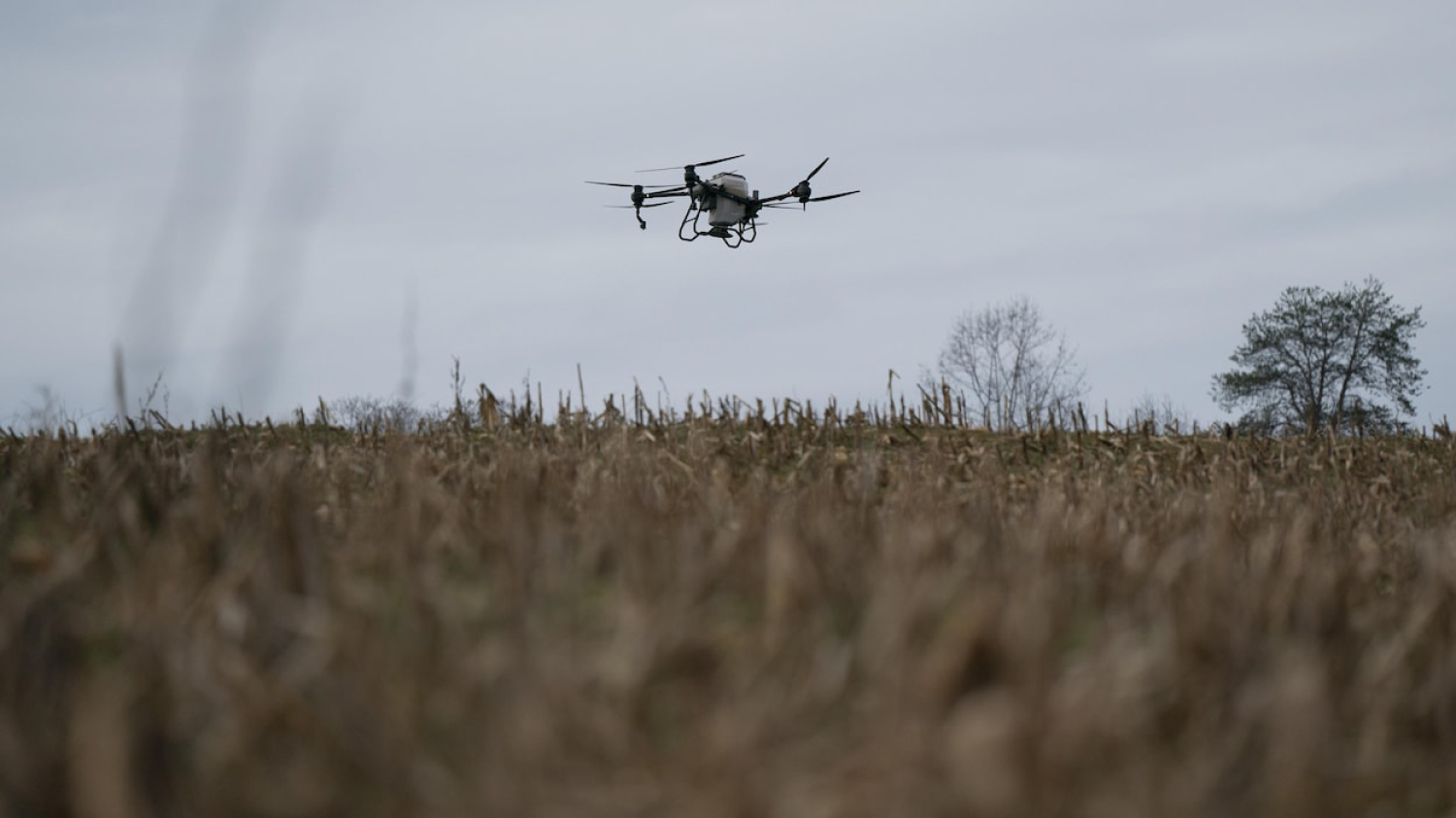 Les drones chinois seront remplacés à la frontière pour cause de « sécurité nationale »