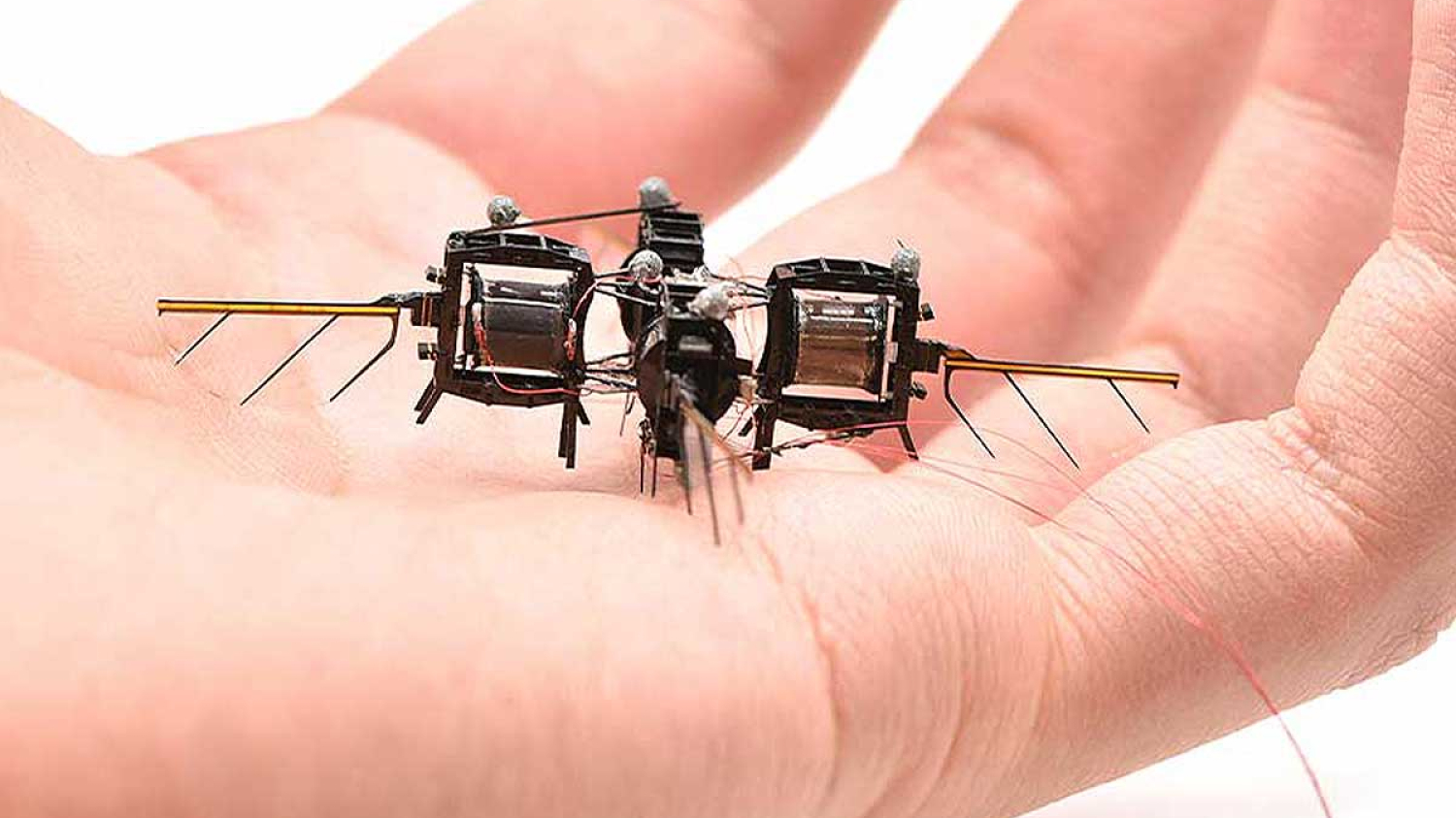 Le MIT dévoile un « nano-drone pollinisateur » presque aussi performant qu'une abeille