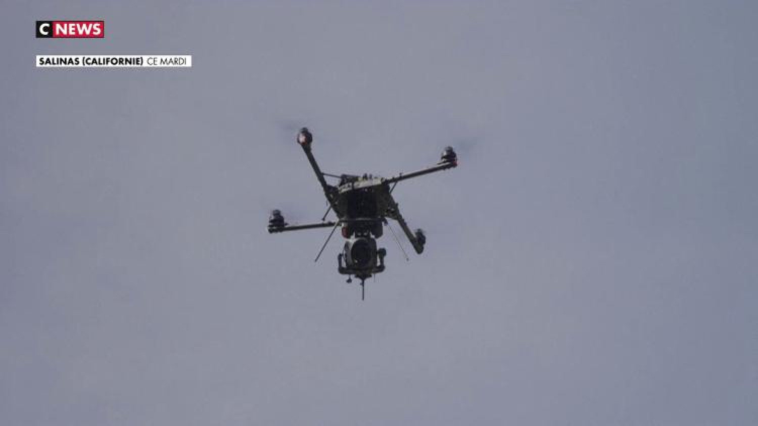 Feux de forêt : quel est ce drone capable d'anticiper les départs de feu et déclencher des mesures d'urgence ?