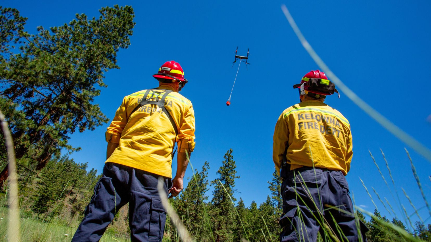 Société | Des drones pour combattre les feux de forêt