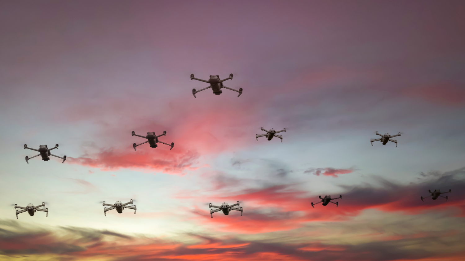En Floride, des drones mobilisés pour lutter contre l’animal le plus mortel du monde