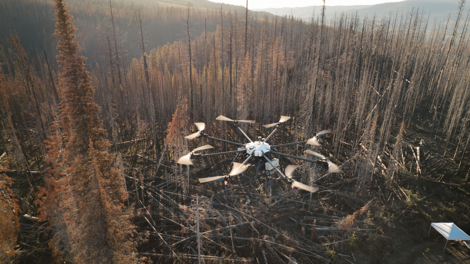 La reforestation par drones, une méthode efficace? | OHdio 