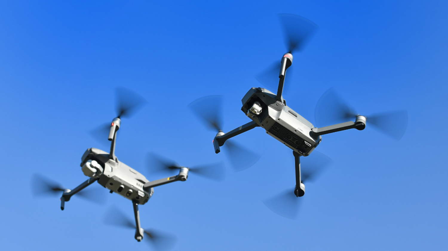 Des drones déployés en Floride pour combattre l’animal responsable du plus grand nombre de morts