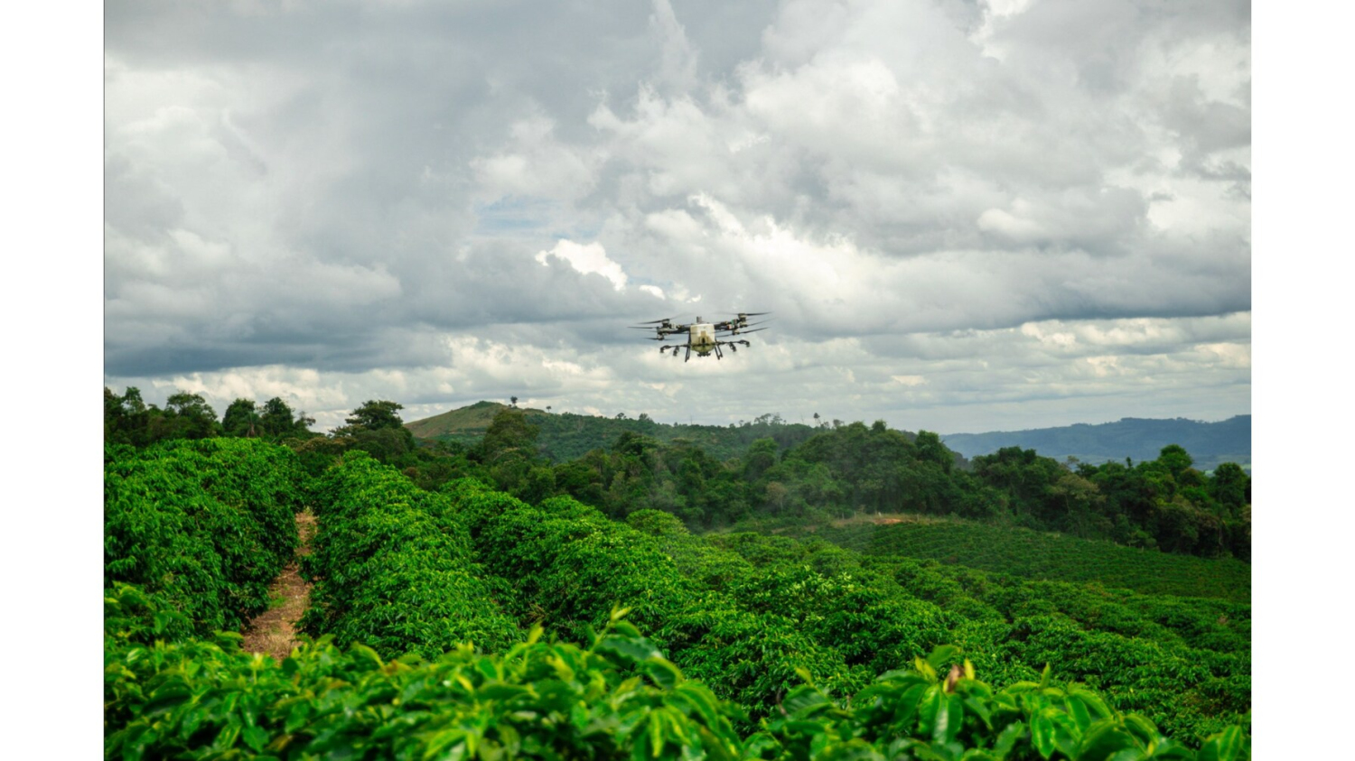 DJI Agriculture révèle que l'adoption mondiale des drones agricoles réduit les émissions de carbone de 51 Mt et permet d'économiser 410 Mt d'eau pour les agriculteurs du monde entier