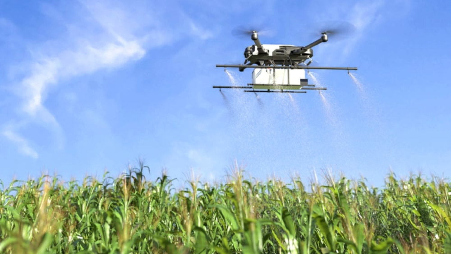 Santé Canada approuve temporairement l’application par drone de pesticides 