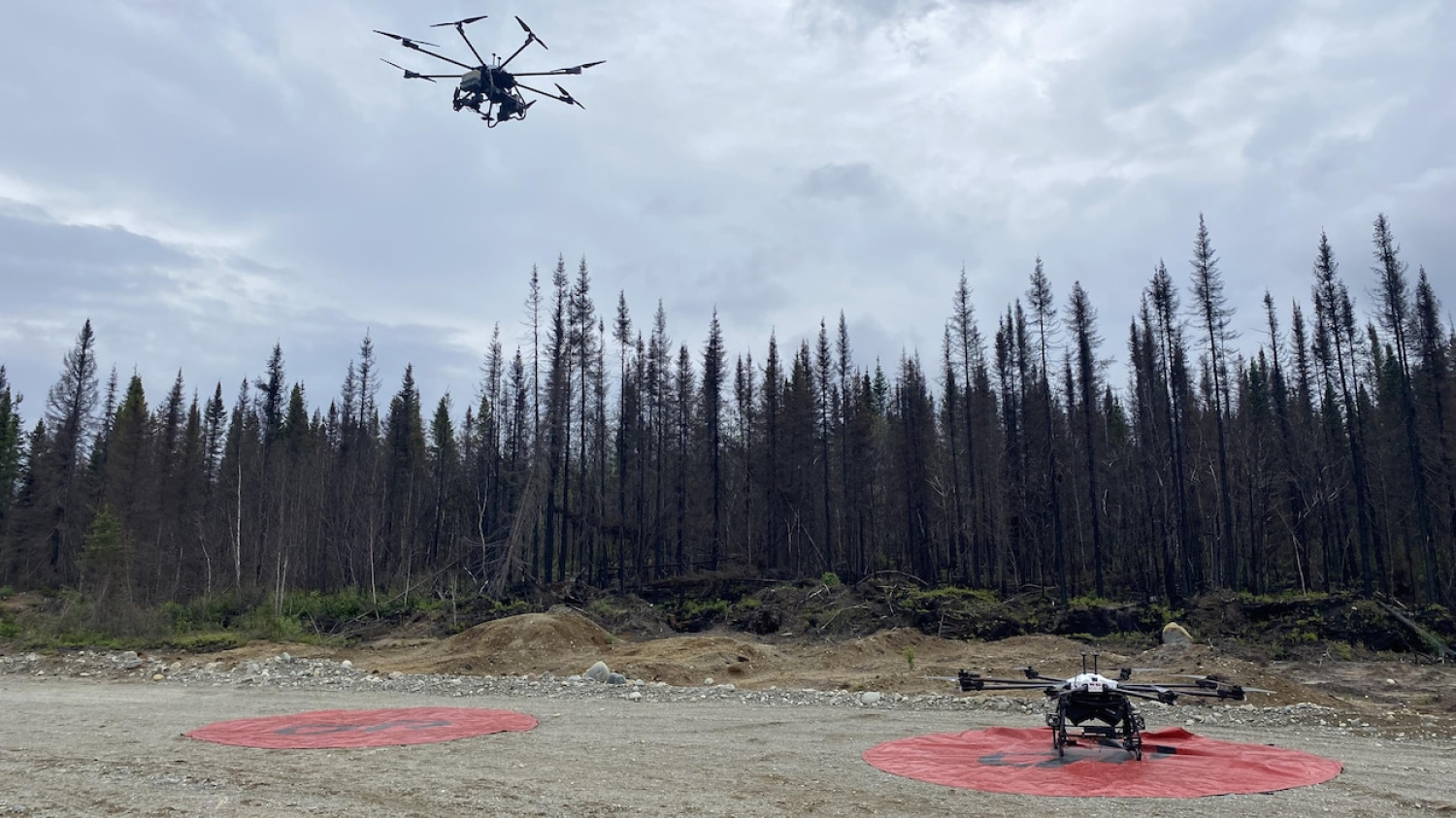 Un projet pilote de l’UQAC sur le reboisement par drones