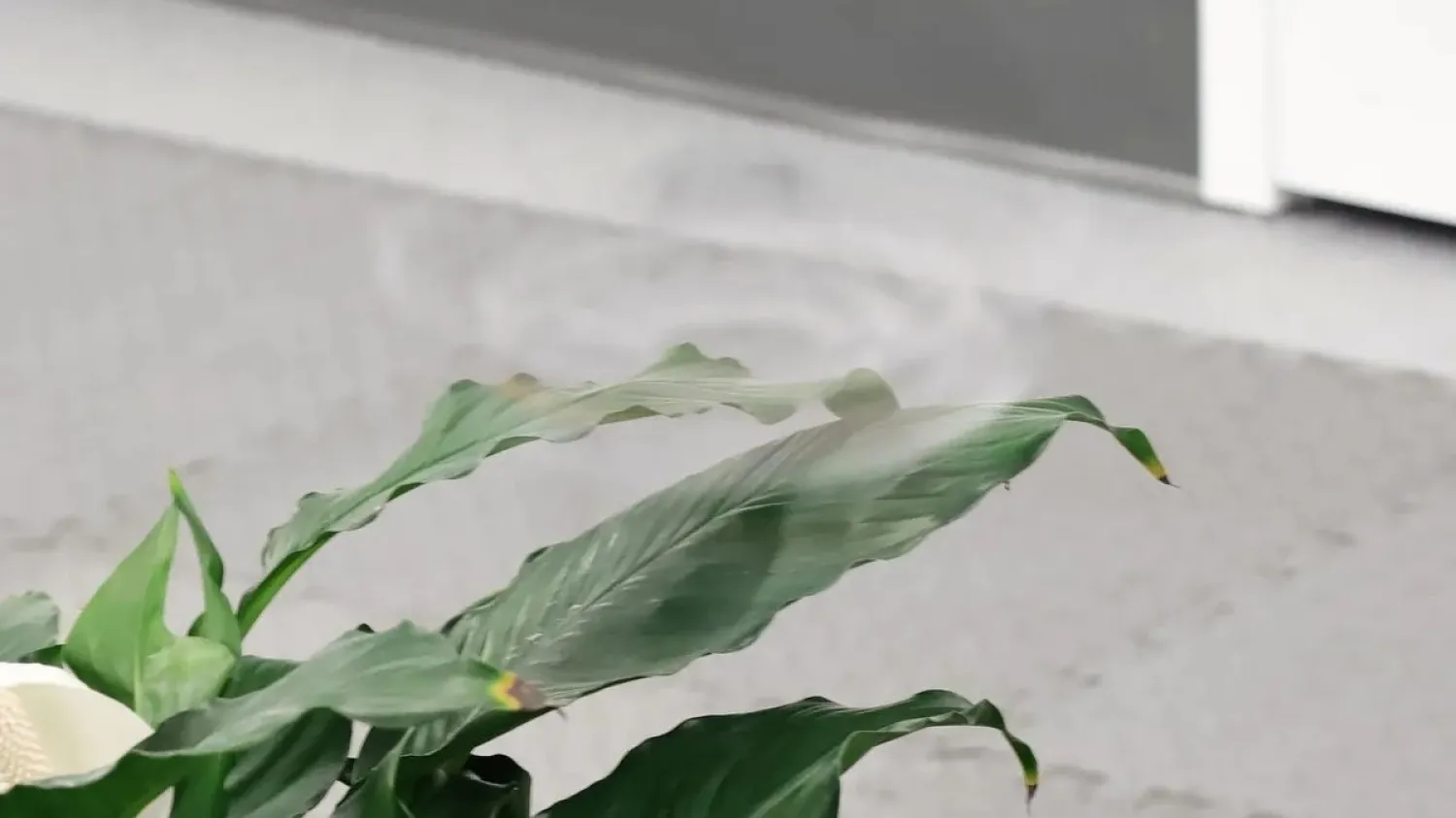 Phantom Twist, le drone qui disparaît en tournant sur lui-même !