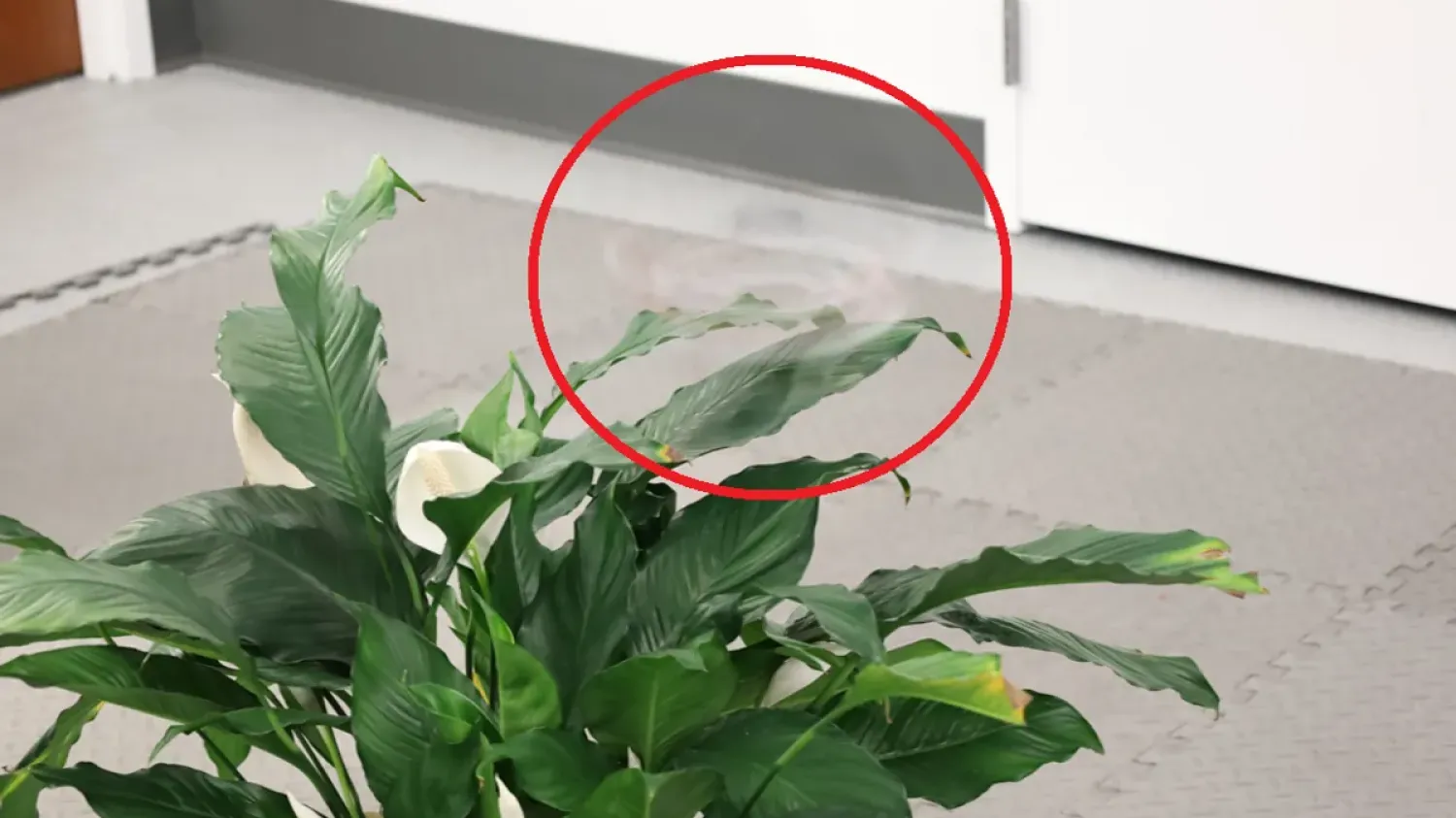 On pensait le camouflage réservé aux couleurs et aux écrans : ce drone conçu par une IA disparaît en tournant sur lui-même