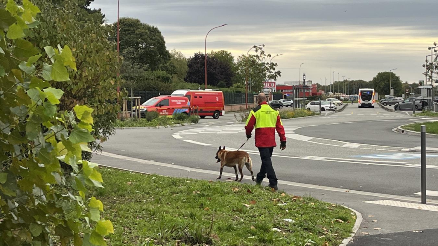 Un drone et un chien pour retrouver un homme de 80 ans porté disparu à Dechy