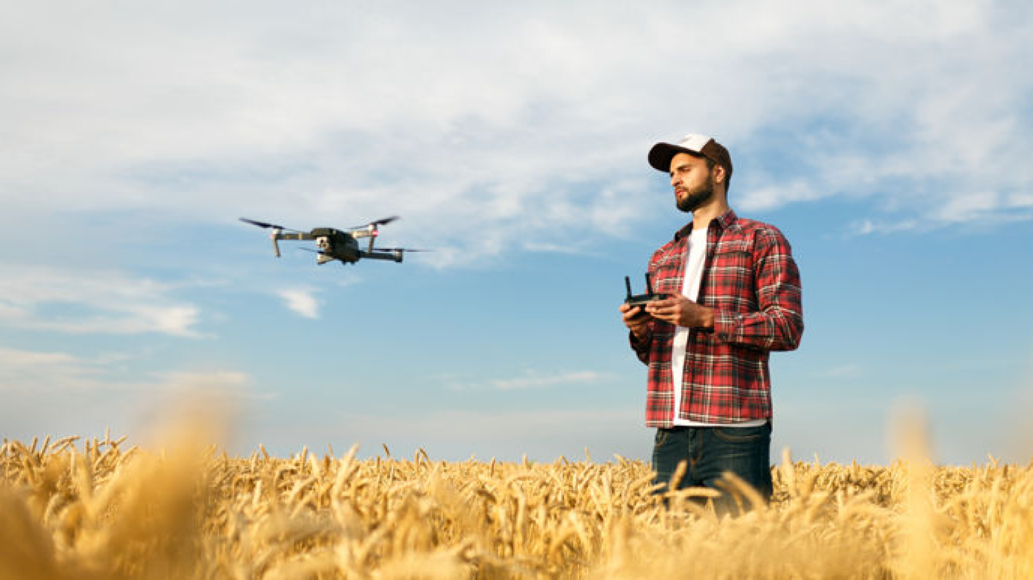 Semis de couverts végétaux : le drone prend de l’avance avant la moisson
