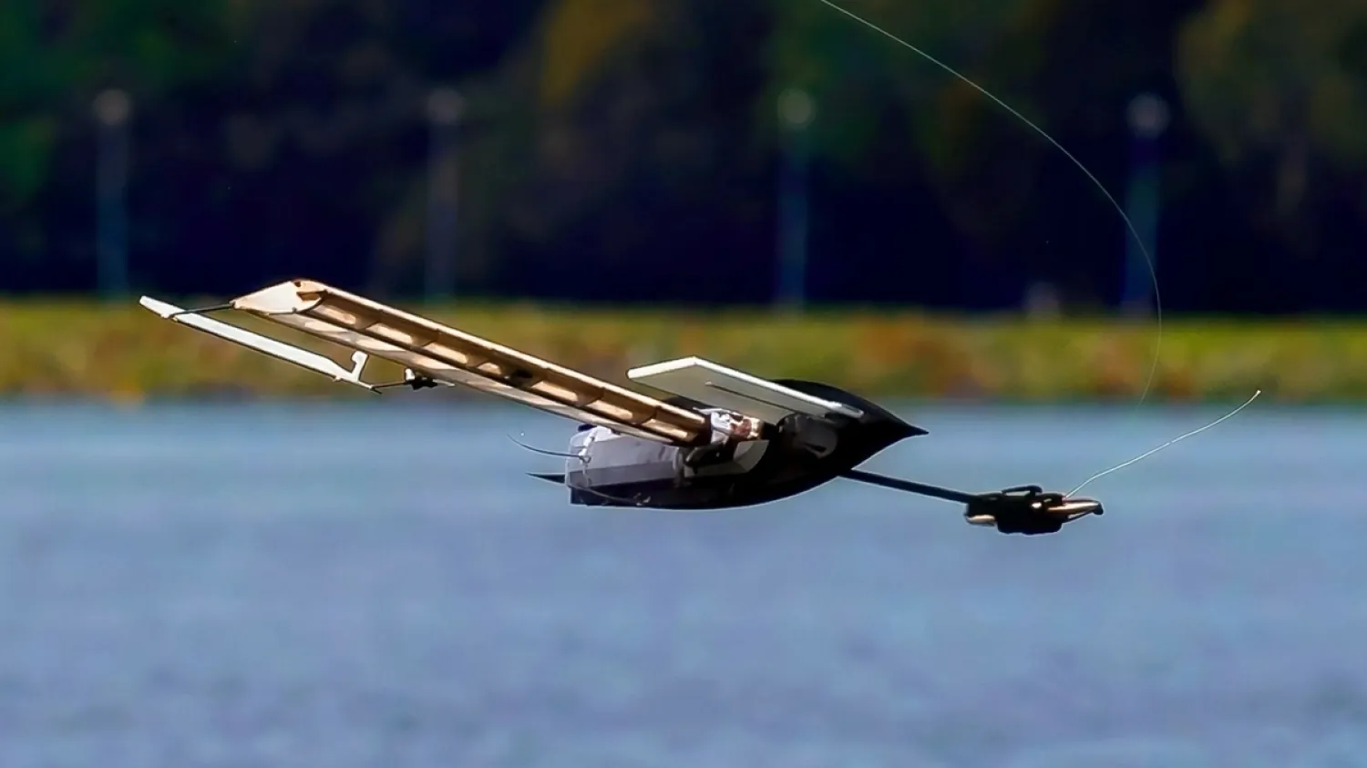 Un nouveau drone hybride atterrit comme une graine pour naviguer en mer